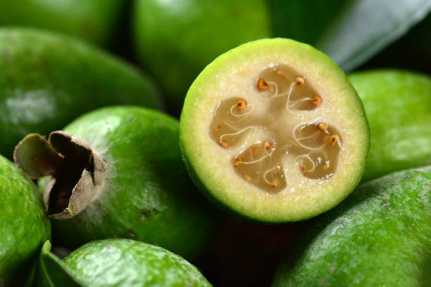  Feijoa