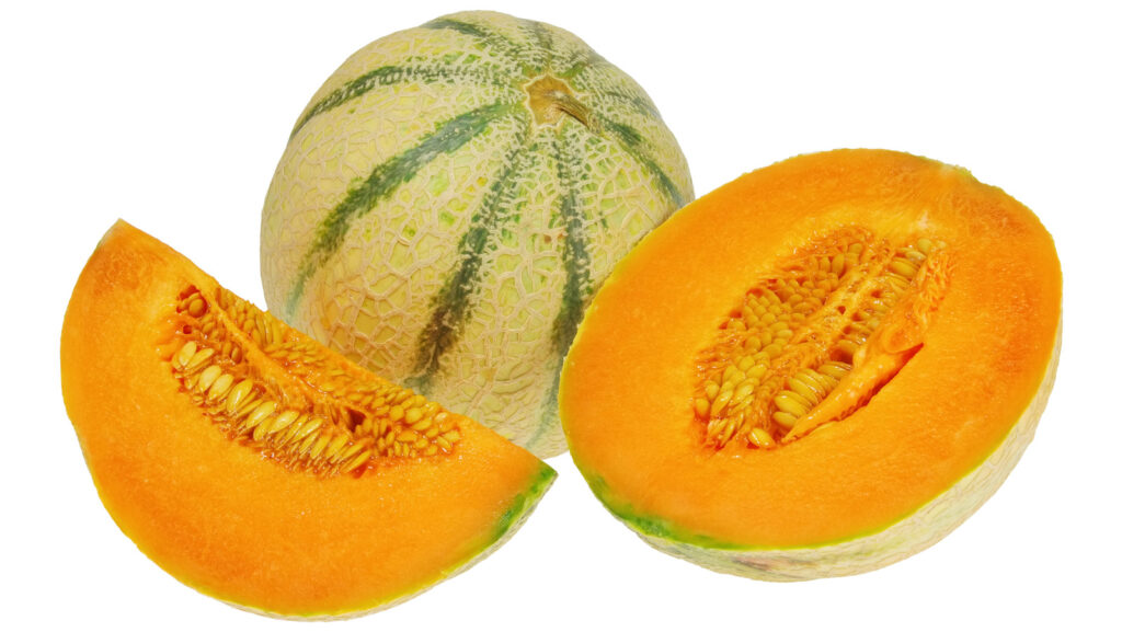  French Melon 